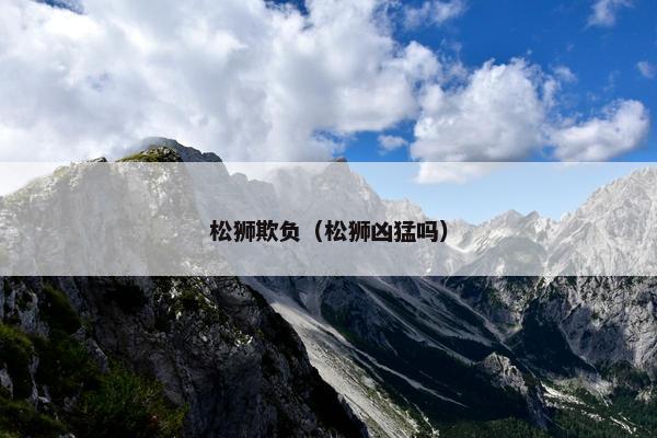 松狮欺负（松狮凶猛吗）