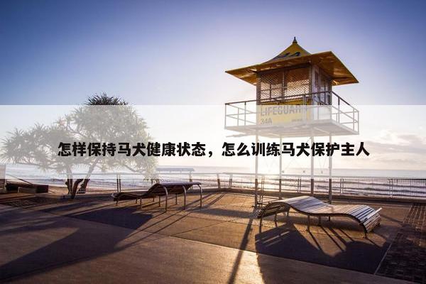 怎样保持马犬健康状态，怎么训练马犬保护主人
