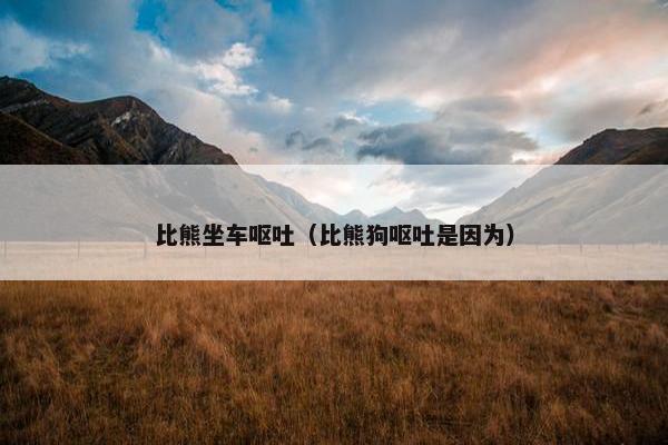 比熊坐车呕吐（比熊狗呕吐是因为）