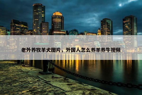 老外养牧羊犬图片，外国人怎么养羊养牛视频