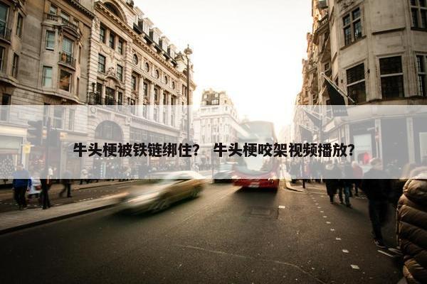 牛头梗被铁链绑住？ 牛头梗咬架视频播放？