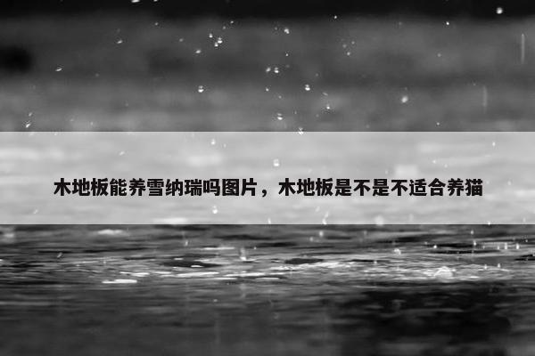 木地板能养雪纳瑞吗图片，木地板是不是不适合养猫