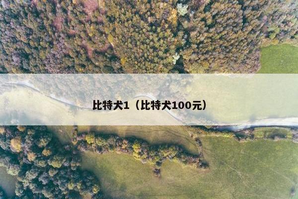 比特犬1（比特犬100元）