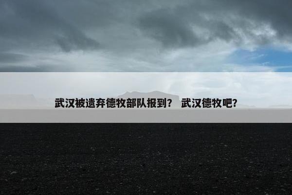 武汉被遗弃德牧部队报到？ 武汉德牧吧？