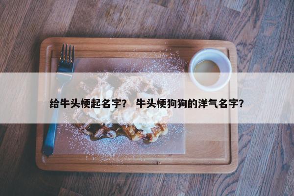 给牛头梗起名字？ 牛头梗狗狗的洋气名字？