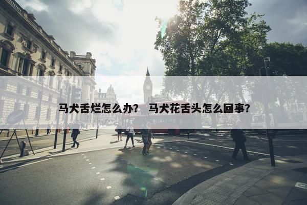 马犬舌烂怎么办？ 马犬花舌头怎么回事？