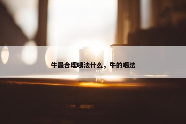 牛最合理喂法什么，牛的喂法