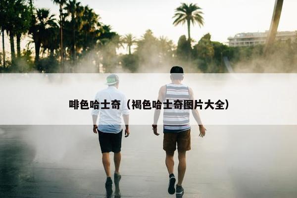 啡色哈士奇（褐色哈士奇图片大全）