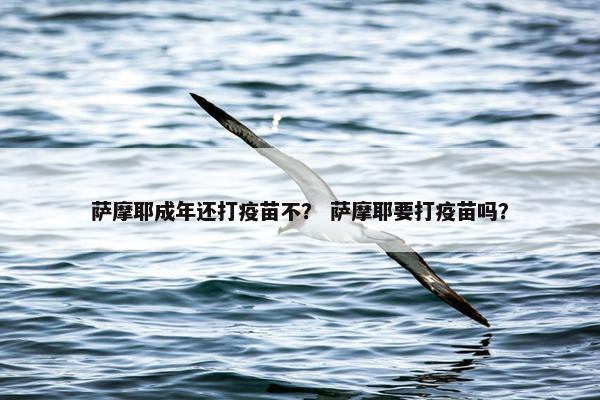 萨摩耶成年还打疫苗不？ 萨摩耶要打疫苗吗？