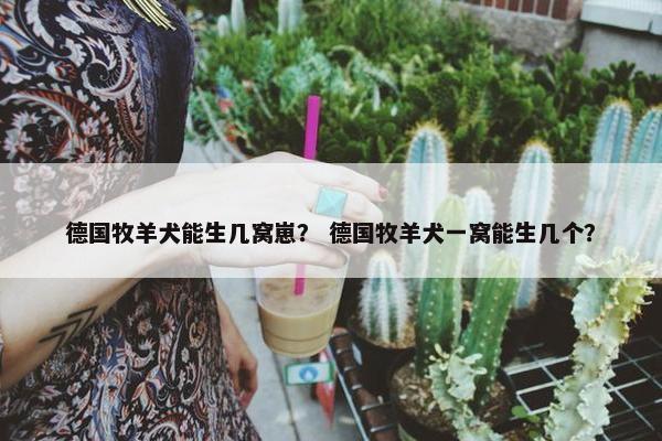 德国牧羊犬能生几窝崽？ 德国牧羊犬一窝能生几个？