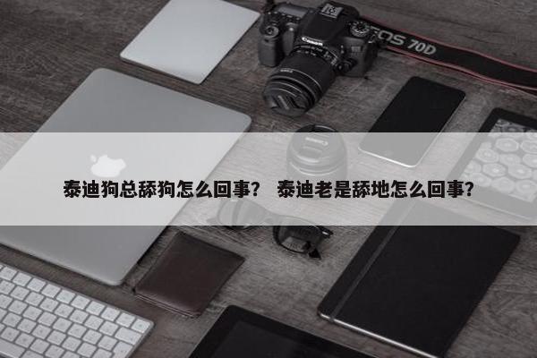 泰迪狗总舔狗怎么回事？ 泰迪老是舔地怎么回事？