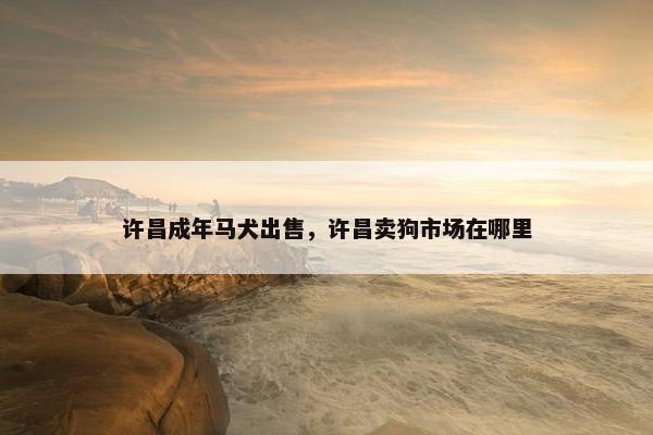 许昌成年马犬出售，许昌卖狗市场在哪里