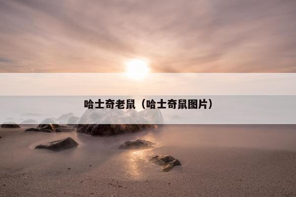 哈士奇老鼠（哈士奇鼠图片）