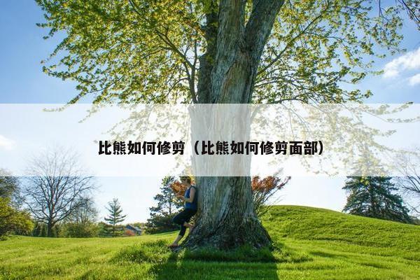 比熊如何修剪（比熊如何修剪面部）