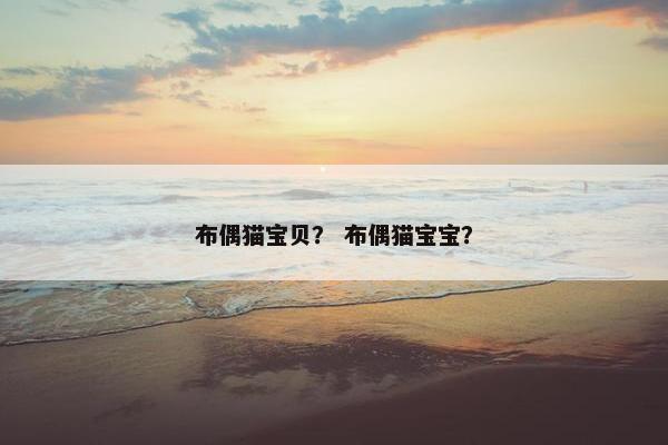 布偶猫宝贝？ 布偶猫宝宝？