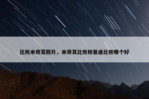 比熊米奇耳照片，米奇耳比熊和普通比熊哪个好