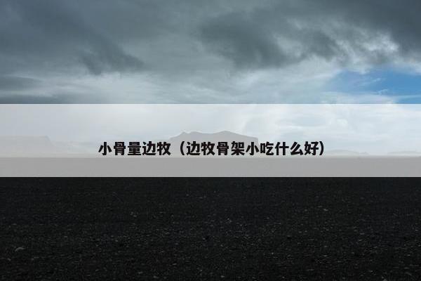 小骨量边牧（边牧骨架小吃什么好）