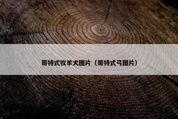 哥特式牧羊犬图片（哥特式弓图片）