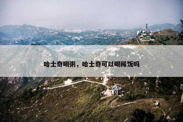哈士奇喝粥，哈士奇可以喝稀饭吗