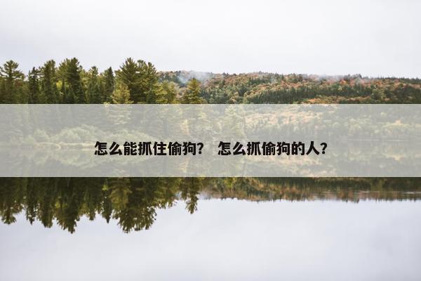 怎么能抓住偷狗？ 怎么抓偷狗的人？
