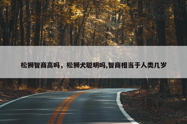 松狮智商高吗，松狮犬聪明吗,智商相当于人类几岁
