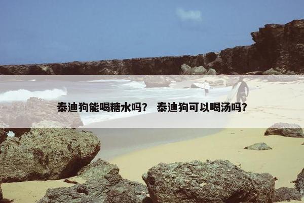 泰迪狗能喝糖水吗？ 泰迪狗可以喝汤吗？