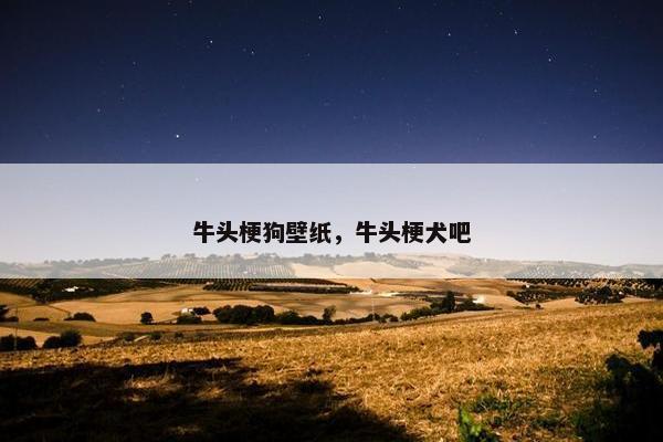 牛头梗狗壁纸，牛头梗犬吧