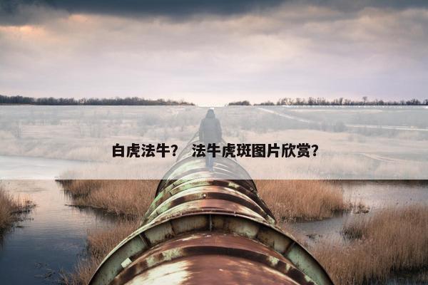 白虎法牛？ 法牛虎斑图片欣赏？
