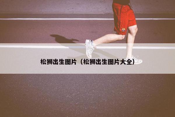 松狮出生图片（松狮出生图片大全）