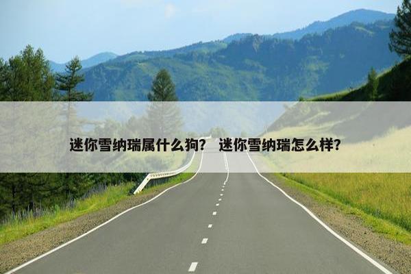 迷你雪纳瑞属什么狗？ 迷你雪纳瑞怎么样？