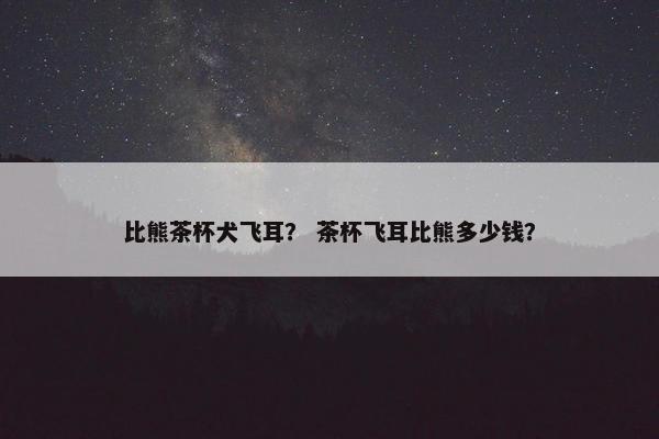比熊茶杯犬飞耳？ 茶杯飞耳比熊多少钱？