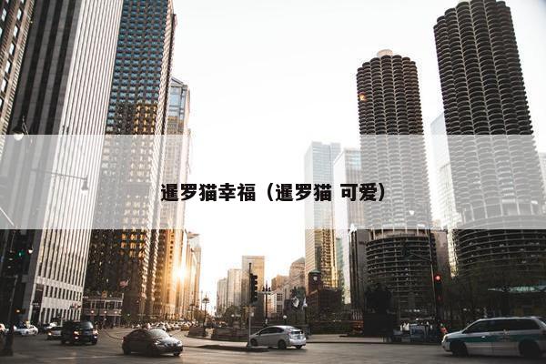 暹罗猫幸福（暹罗猫 可爱）
