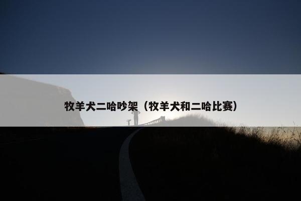 牧羊犬二哈吵架（牧羊犬和二哈比赛）
