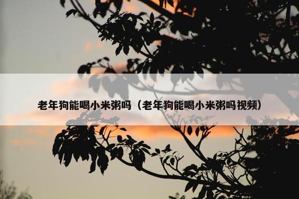 老年狗能喝小米粥吗（老年狗能喝小米粥吗视频）