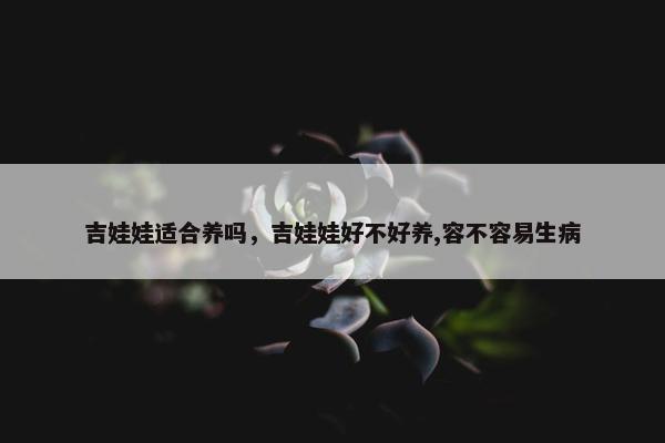 吉娃娃适合养吗，吉娃娃好不好养,容不容易生病