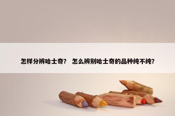 怎样分辨哈士奇？ 怎么辨别哈士奇的品种纯不纯？