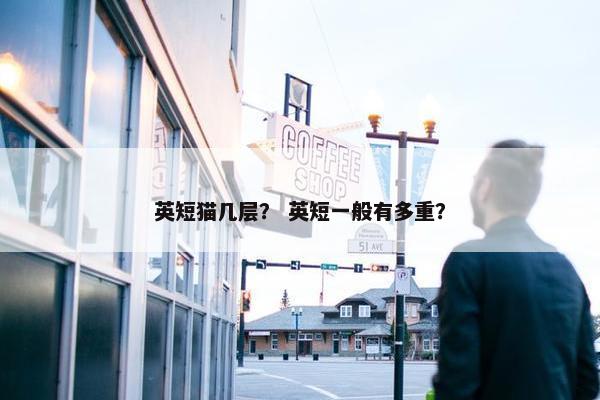 英短猫几层？ 英短一般有多重？