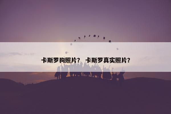 卡斯罗狗照片？ 卡斯罗真实照片？