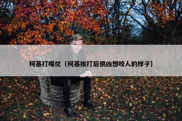 柯基打嘴仗（柯基挨打后很凶想咬人的样子）