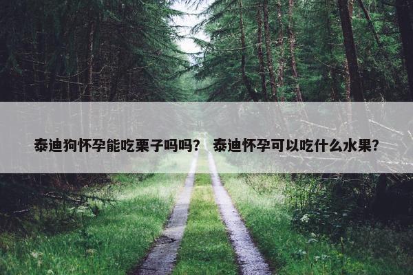 泰迪狗怀孕能吃栗子吗吗？ 泰迪怀孕可以吃什么水果？