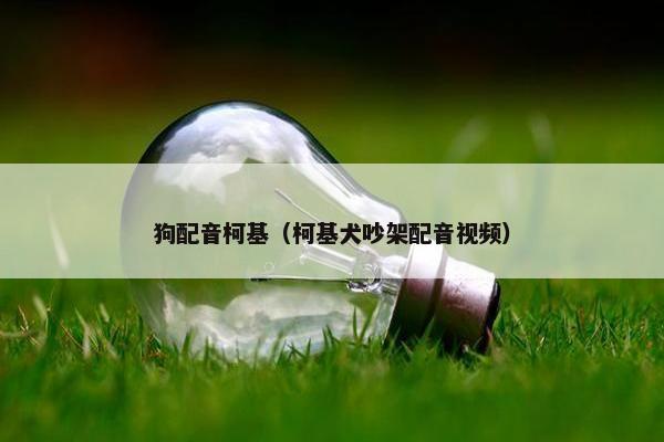狗配音柯基（柯基犬吵架配音视频）