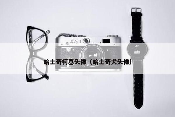 哈士奇柯基头像（哈士奇犬头像）