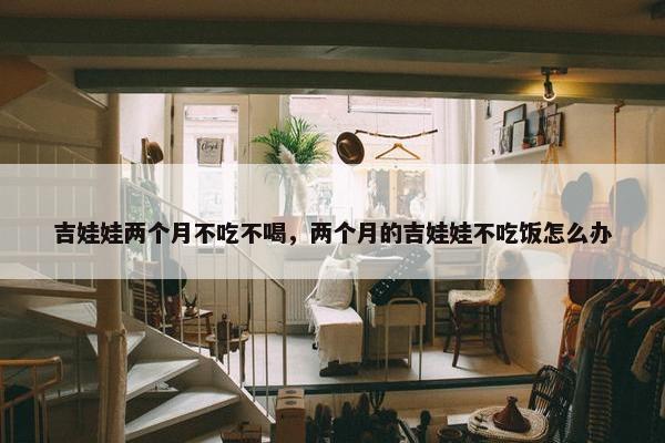 吉娃娃两个月不吃不喝，两个月的吉娃娃不吃饭怎么办