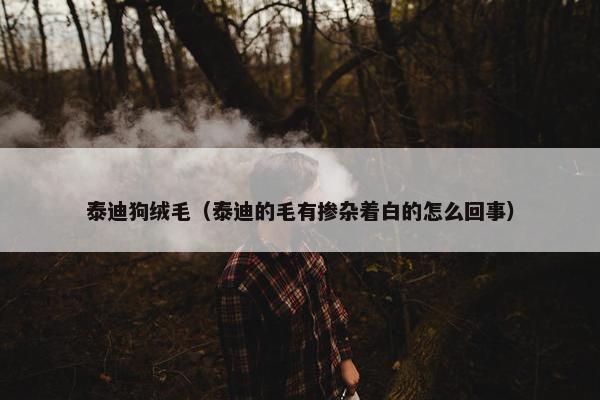 泰迪狗绒毛（泰迪的毛有掺杂着白的怎么回事）