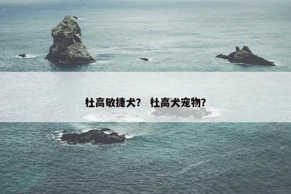 杜高敏捷犬？ 杜高犬宠物？