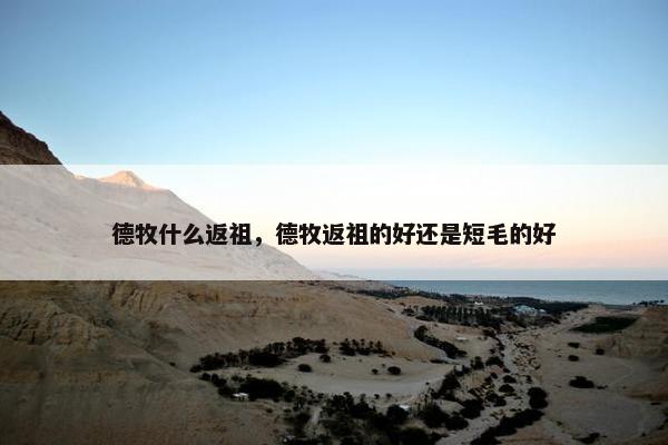 德牧什么返祖，德牧返祖的好还是短毛的好