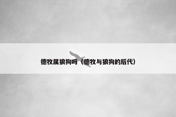 德牧属狼狗吗（德牧与狼狗的后代）