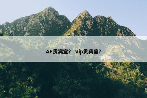 AE贵宾室？ vip贵宾室？