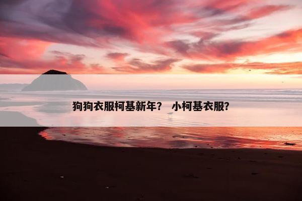 狗狗衣服柯基新年？ 小柯基衣服？