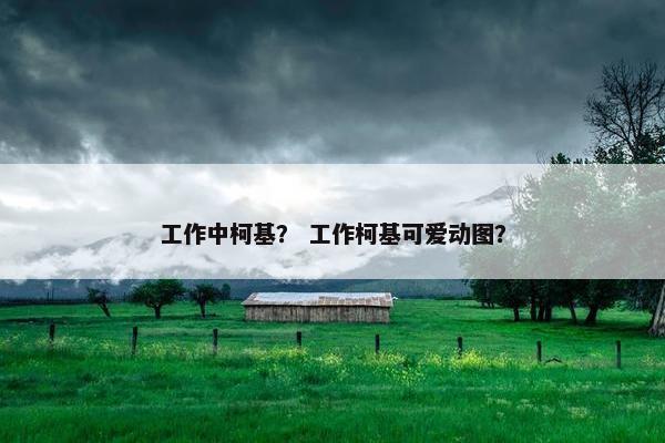 工作中柯基？ 工作柯基可爱动图？